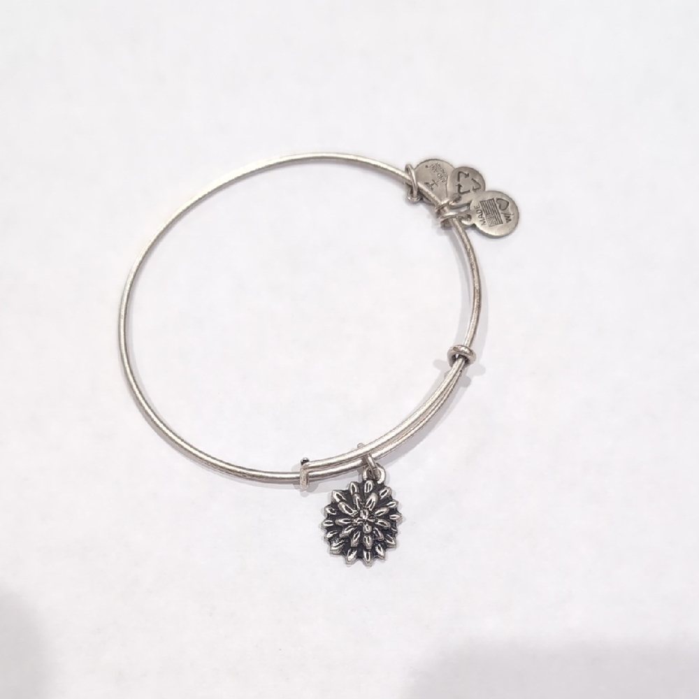 Alex and Ani Silver Expandable Charm Bracelet